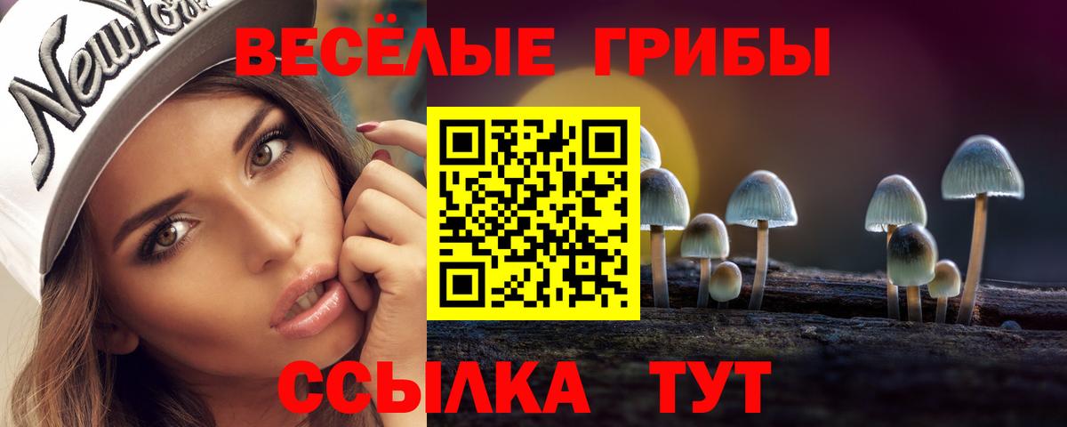 Карпинск  Галлюциногенные грибы GOLDEN TEACHER  Вход с VPN 
